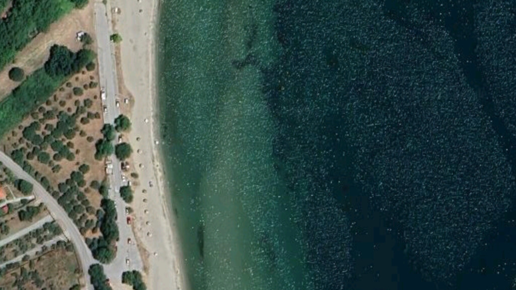 Land in Pidna, Pieria Prefecture, Greece – 62927