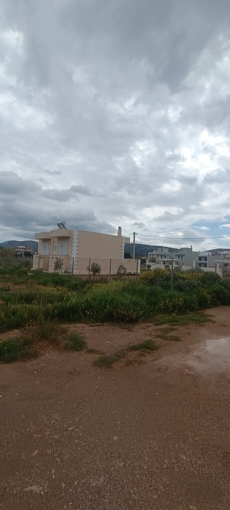 Land in Anavissos, Rest Of Attica, Greece – 62906