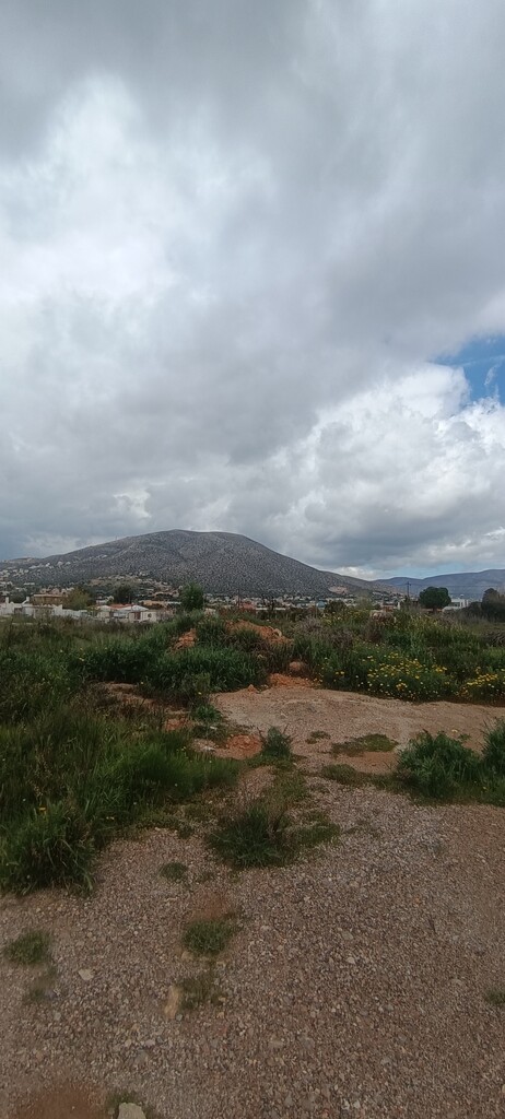 Land in Anavissos, Rest Of Attica, Greece – 62906