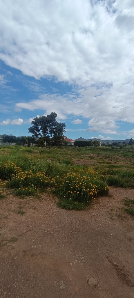 Land in Anavissos, Rest Of Attica, Greece – 62906