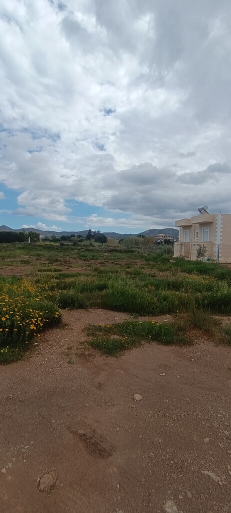 Land in Anavissos, Rest Of Attica, Greece – 62906