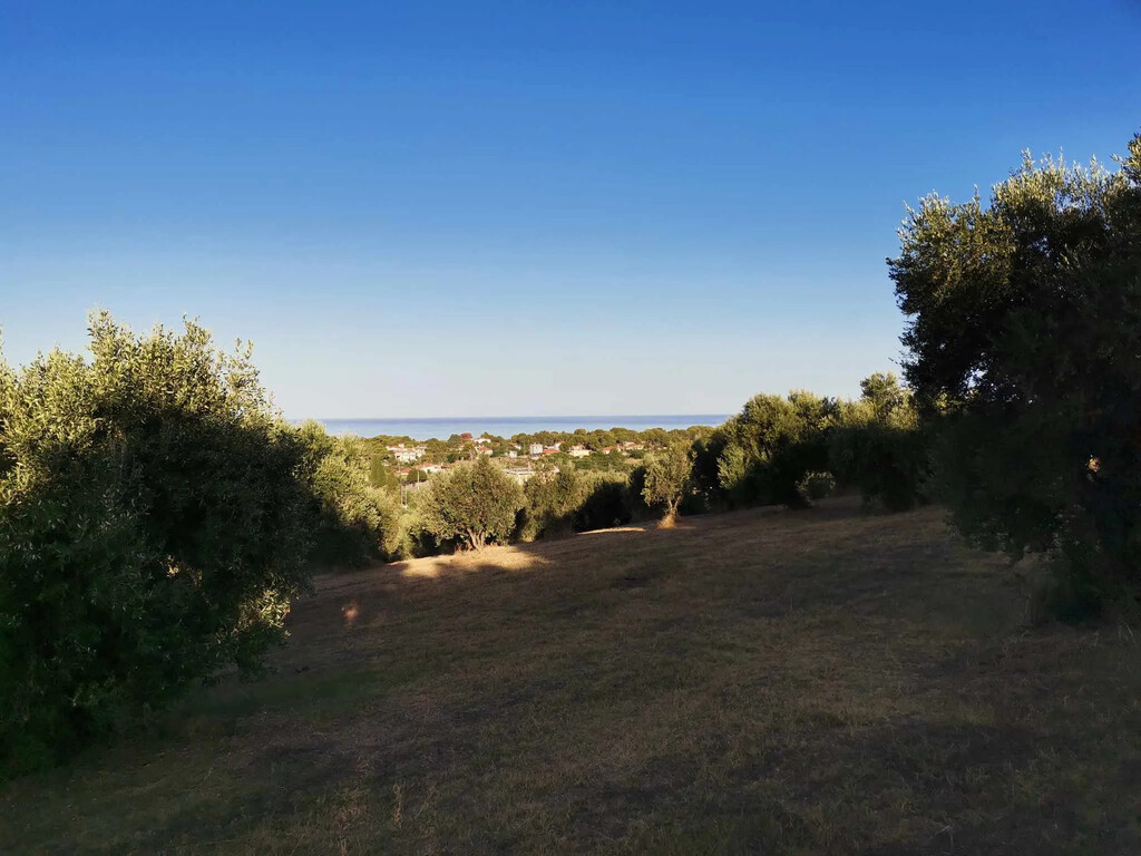 Land in Zacharo, Ilia, Greece – 62876