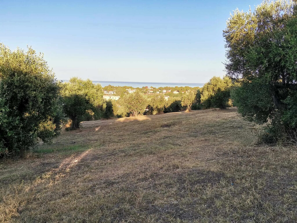 Land in Zacharo, Ilia, Greece – 62876