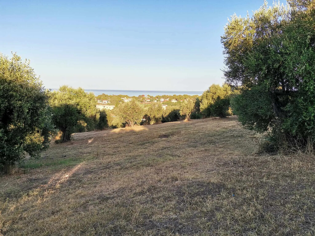 Land in Zacharo, Ilia, Greece – 62876