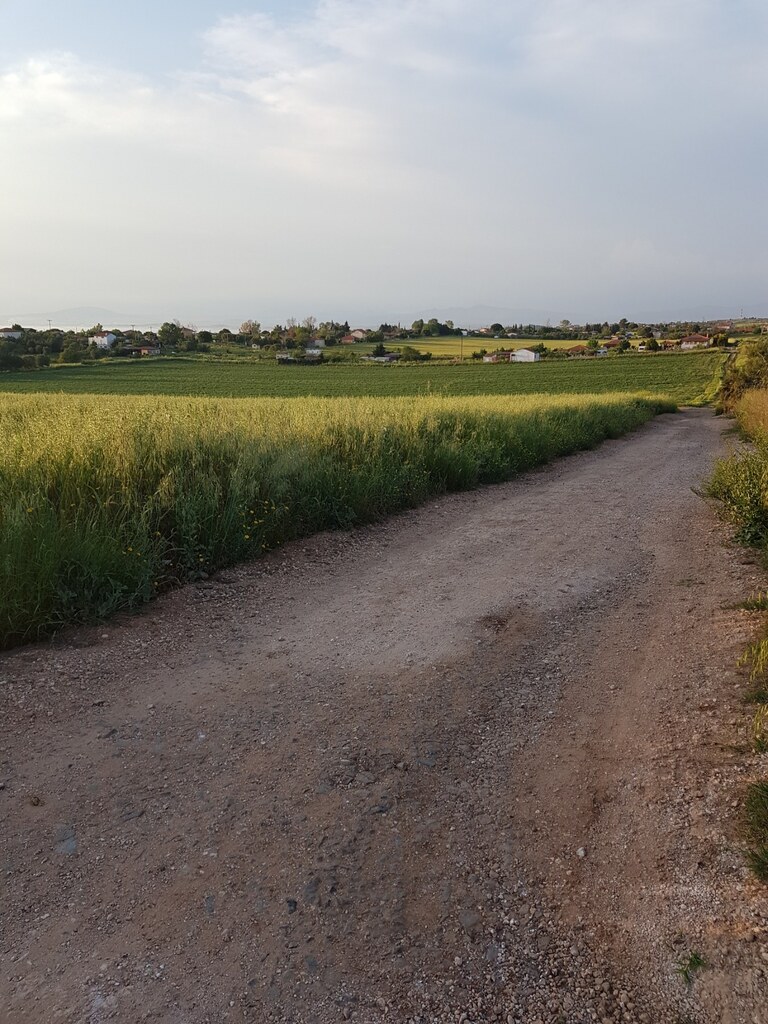 Land in Kassandra, Chalkidiki, Greece – 62855