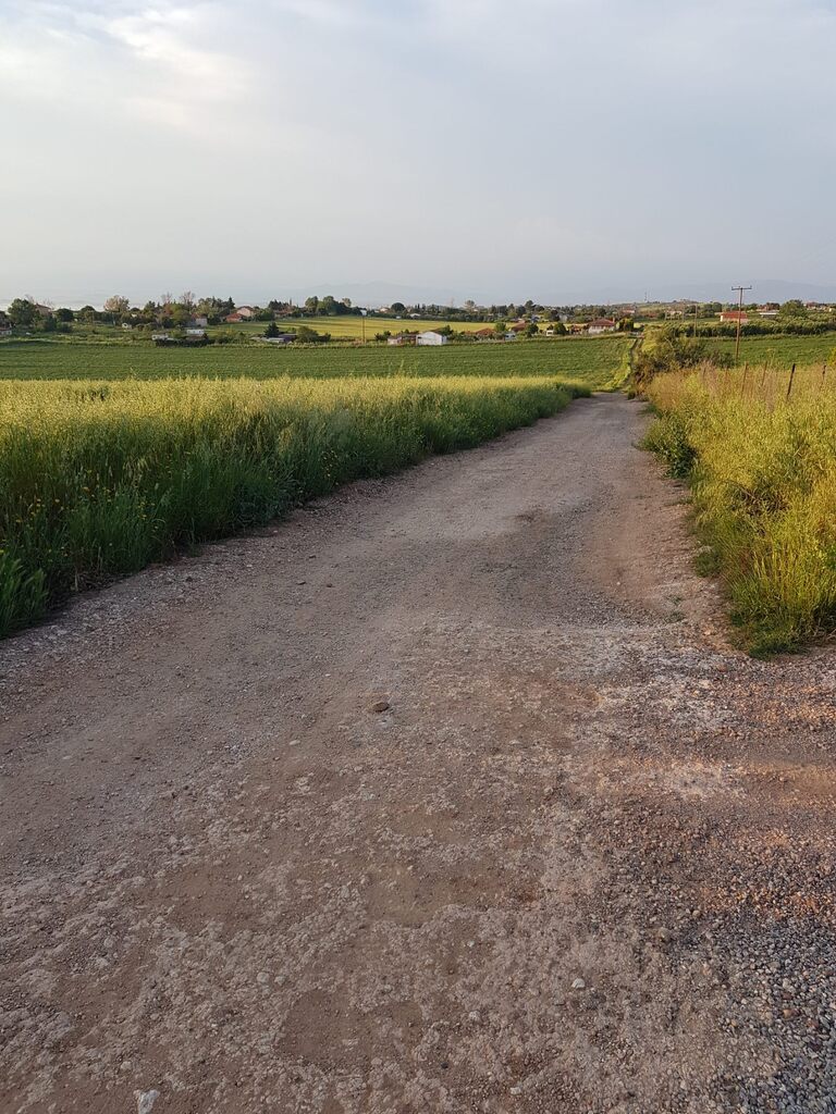 Land in Kassandra, Chalkidiki, Greece – 62854