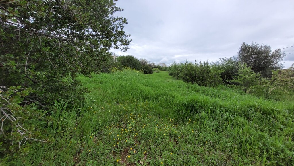 Land in Panorama, Thessaloniki – Suburbs, Greece – 62846