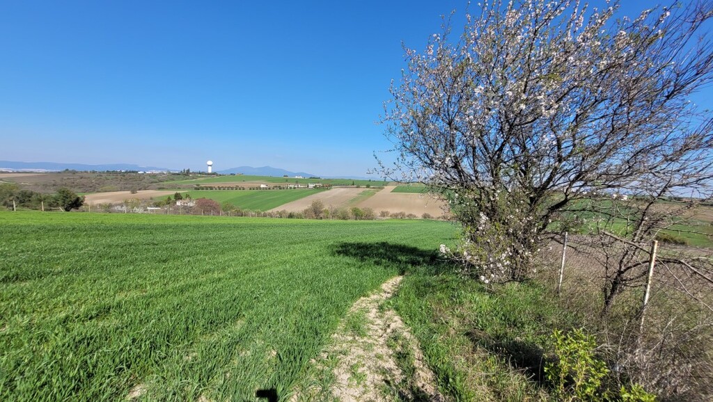 Land in Mikra, Thessaloniki – Suburbs, Greece – 62844