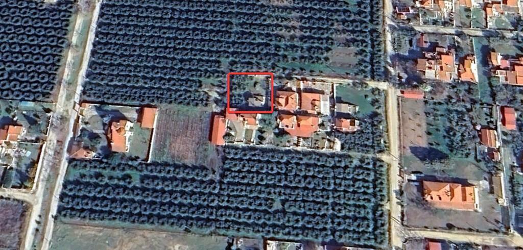 Land in Orfano, Kavala Prefecture, Greece – 62772