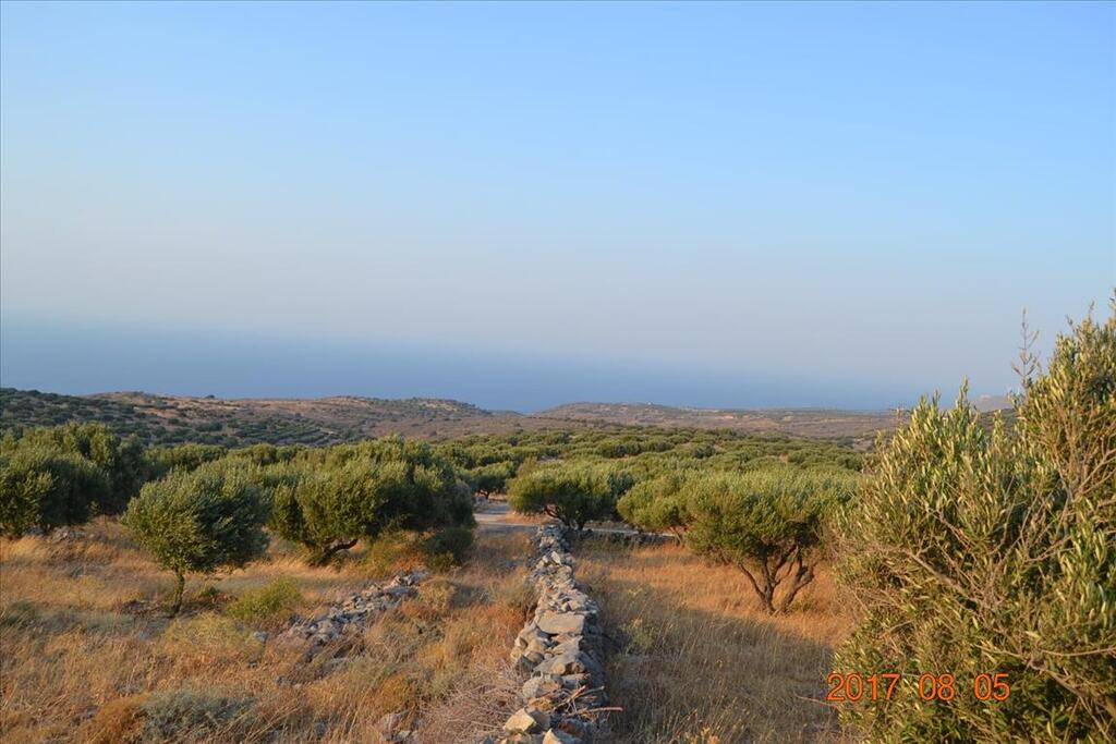Land in Agios Nikolaos, Lasithi Prefecture, Greece – 62759
