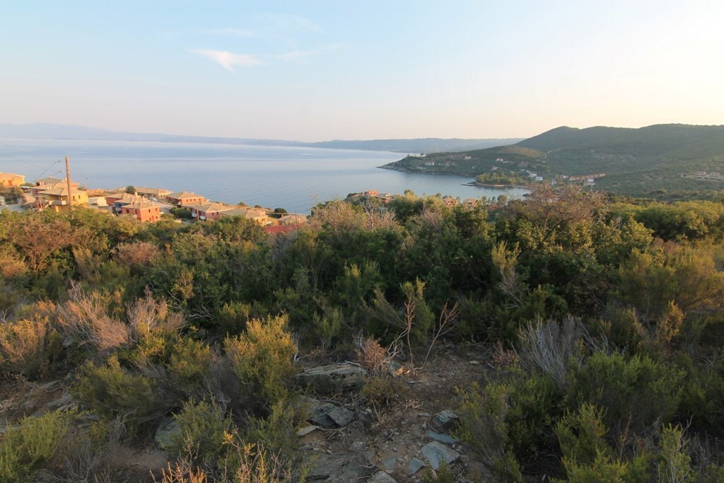 Land in Aristotle, Chalkidiki, Greece – 62713