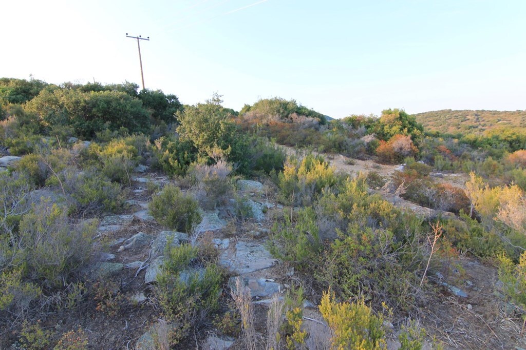 Land in Aristotle, Chalkidiki, Greece – 62713
