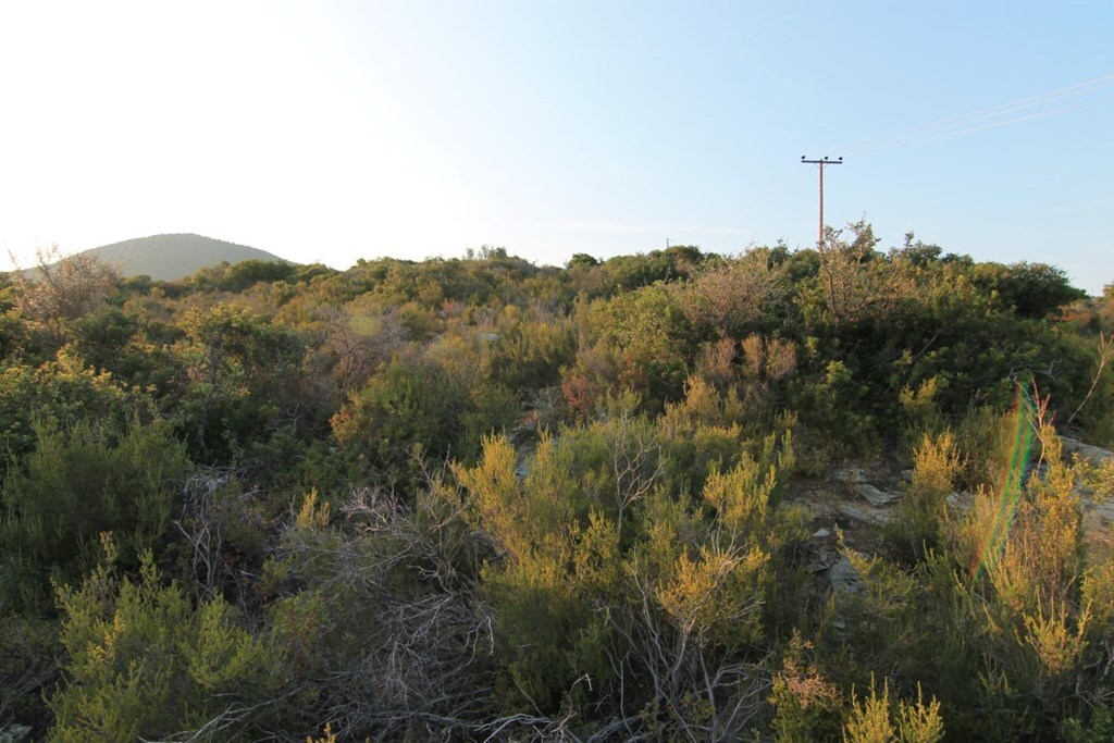 Land in Aristotle, Chalkidiki, Greece – 62713