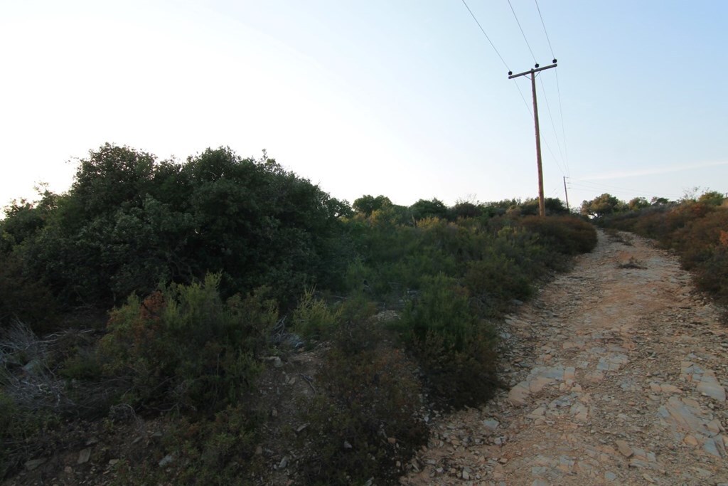 Land in Aristotle, Chalkidiki, Greece – 62713