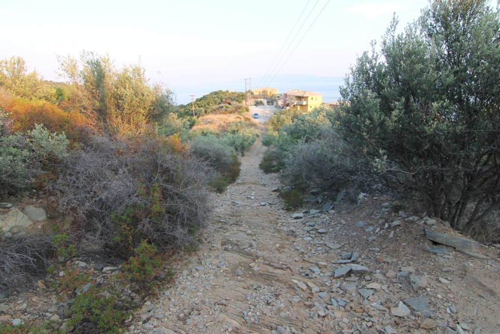 Land in Aristotle, Chalkidiki, Greece – 62713