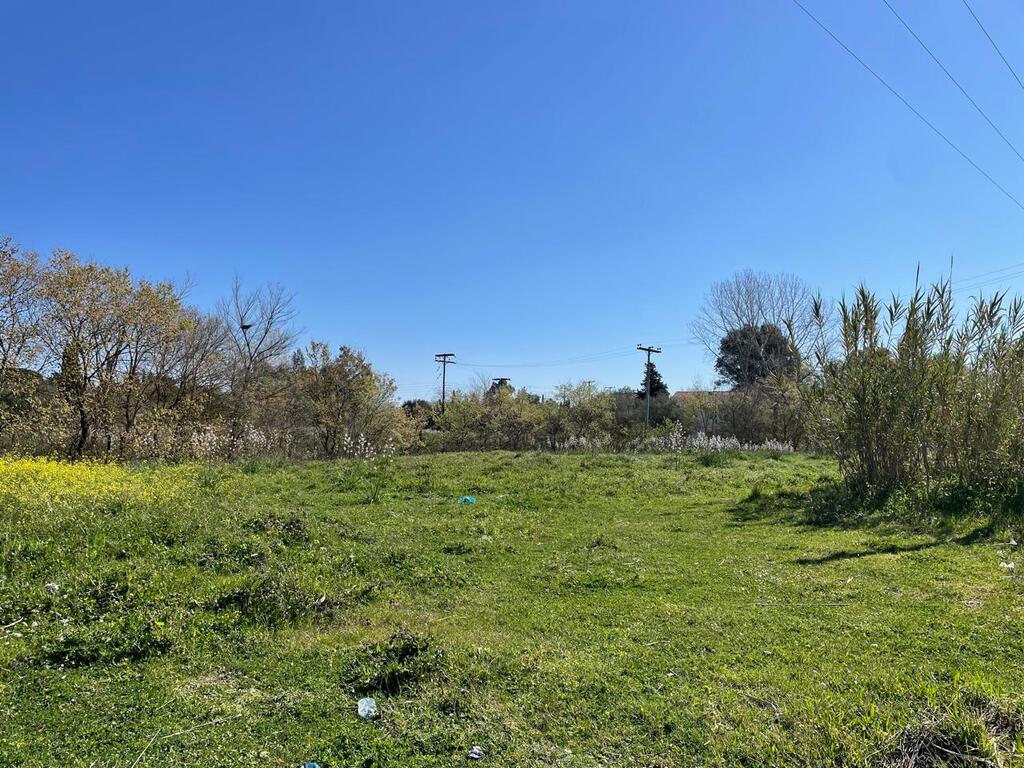 Land in Corfu, Corfu Prefecture, Greece – 62687