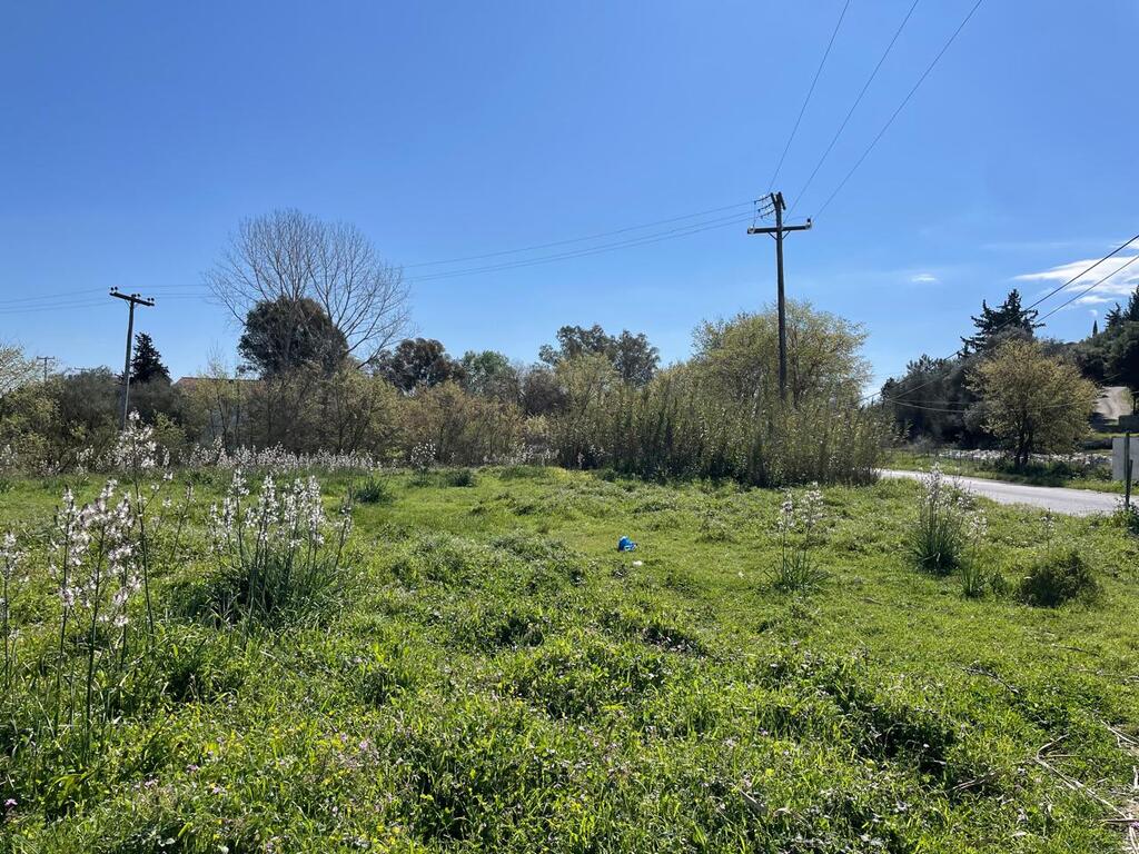 Land in Corfu, Corfu Prefecture, Greece – 62687