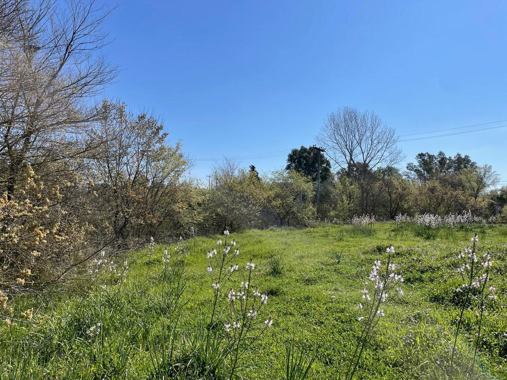 Land in Corfu, Corfu Prefecture, Greece – 62687
