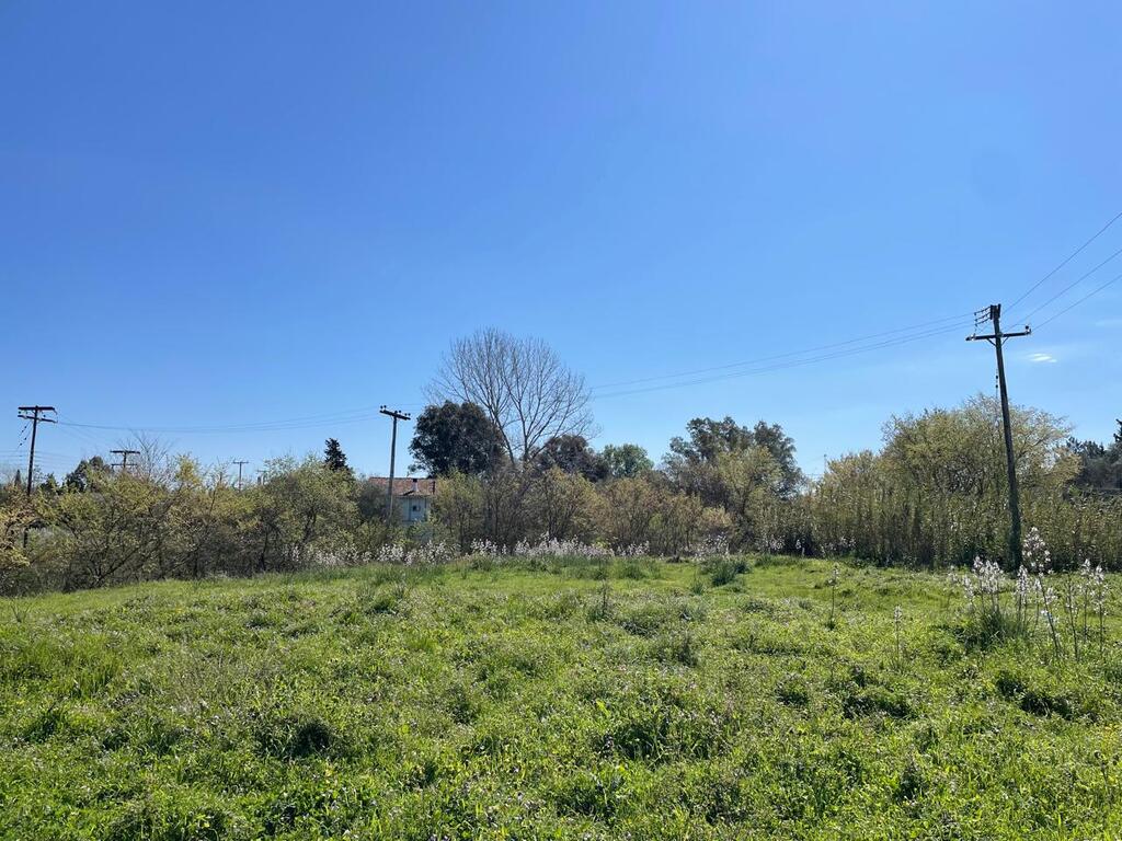 Land in Corfu, Corfu Prefecture, Greece – 62687