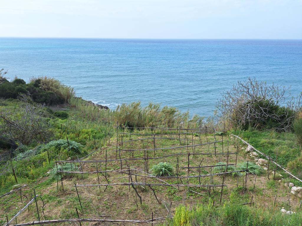Land in Corfu, Corfu Prefecture, Greece – 62633
