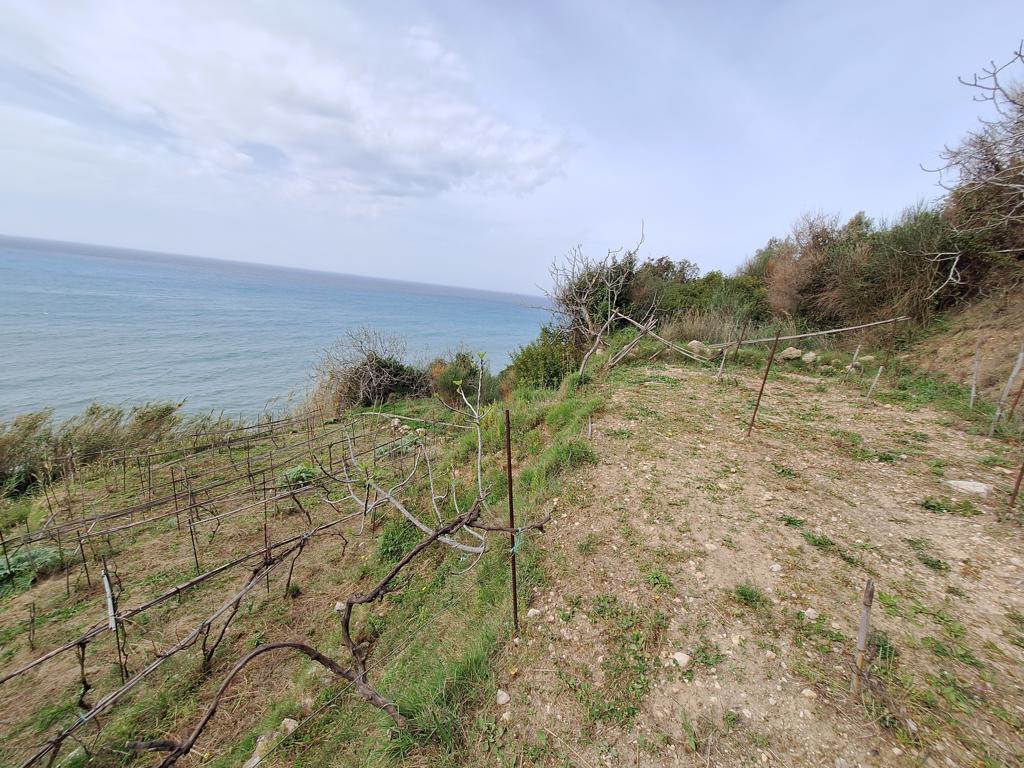 Land in Corfu, Corfu Prefecture, Greece – 62633