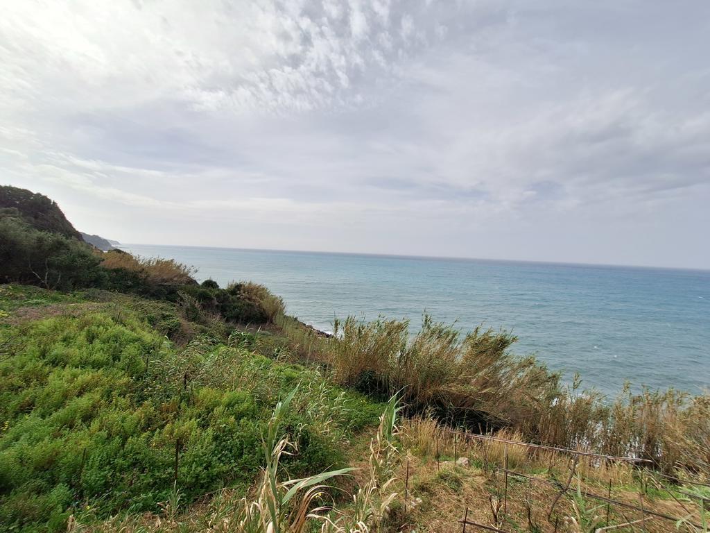 Land in Corfu, Corfu Prefecture, Greece – 62633