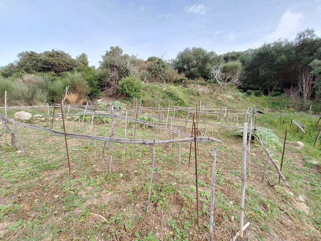 Land in Corfu, Corfu Prefecture, Greece – 62633