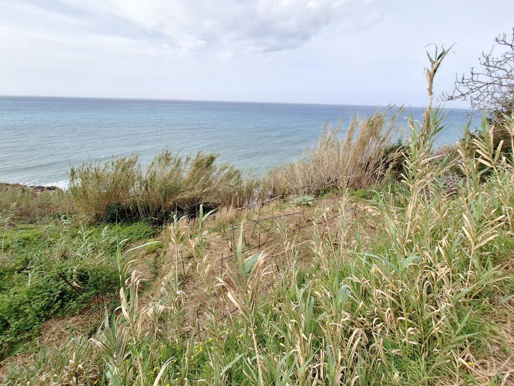 Land in Corfu, Corfu Prefecture, Greece – 62633
