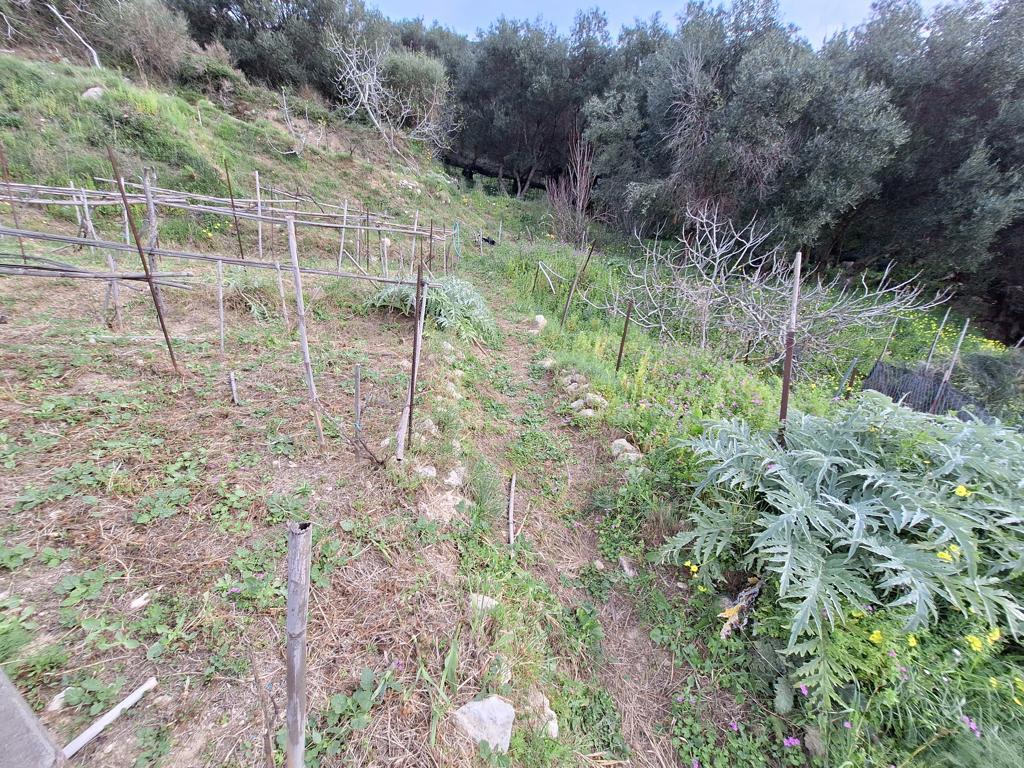 Land in Corfu, Corfu Prefecture, Greece – 62633