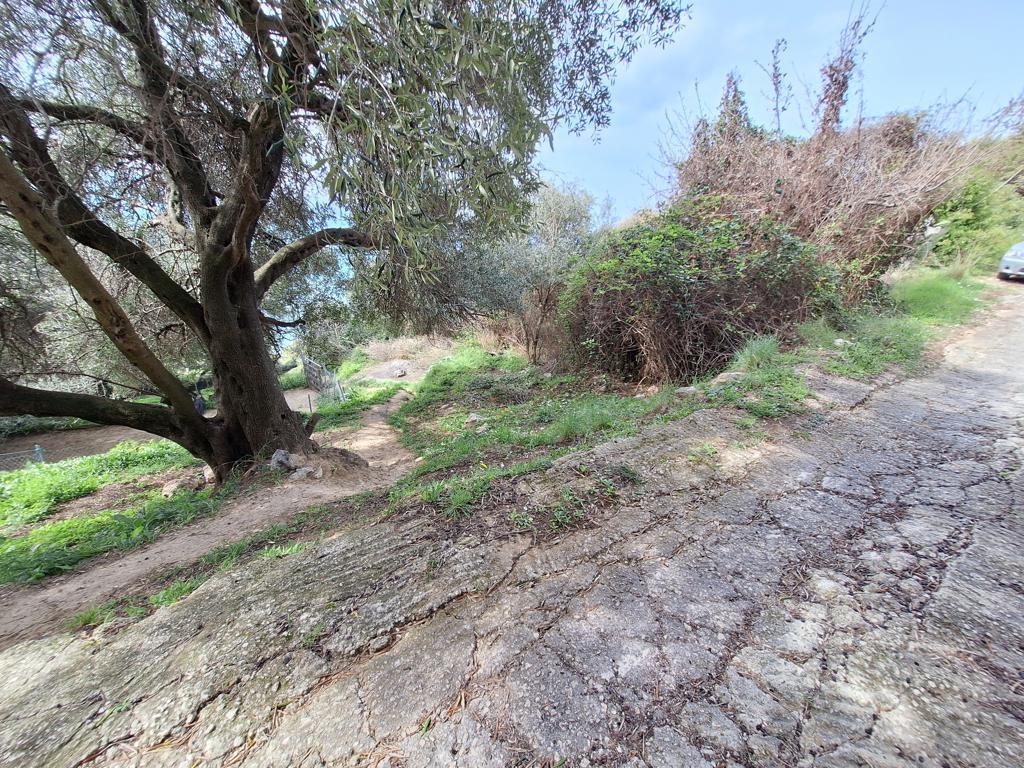 Land in Corfu, Corfu Prefecture, Greece – 62633