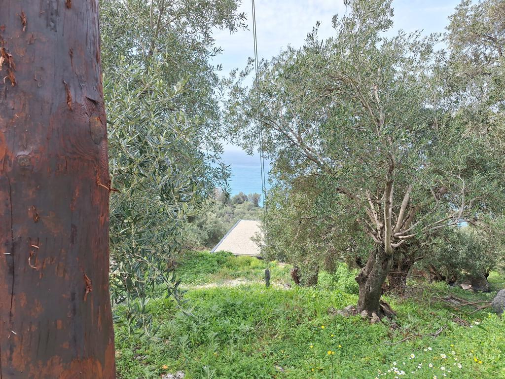 Land in Corfu, Corfu Prefecture, Greece – 62632