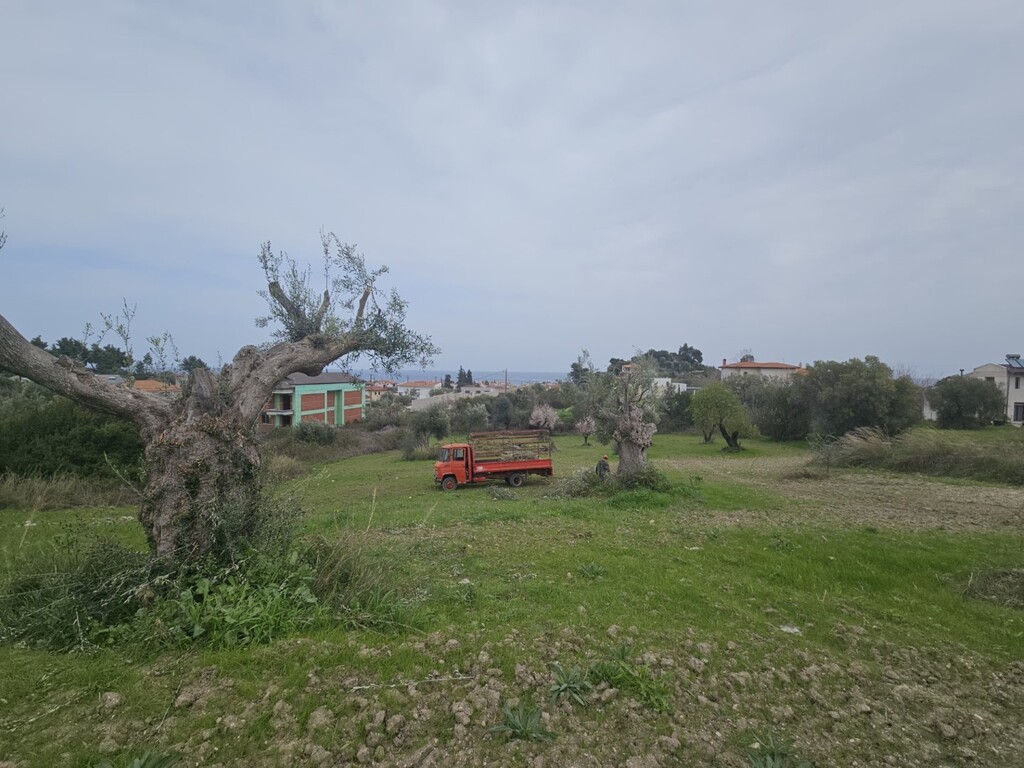 Land in Kassandra, Chalkidiki, Greece – 62619