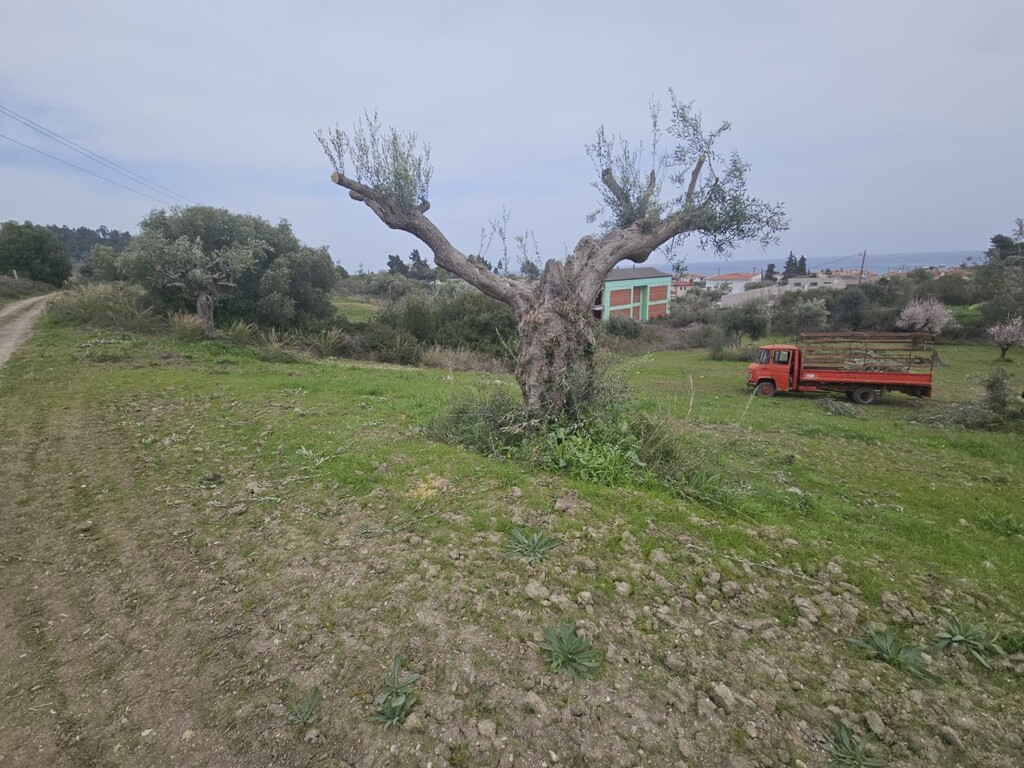 Land in Kassandra, Chalkidiki, Greece – 62619