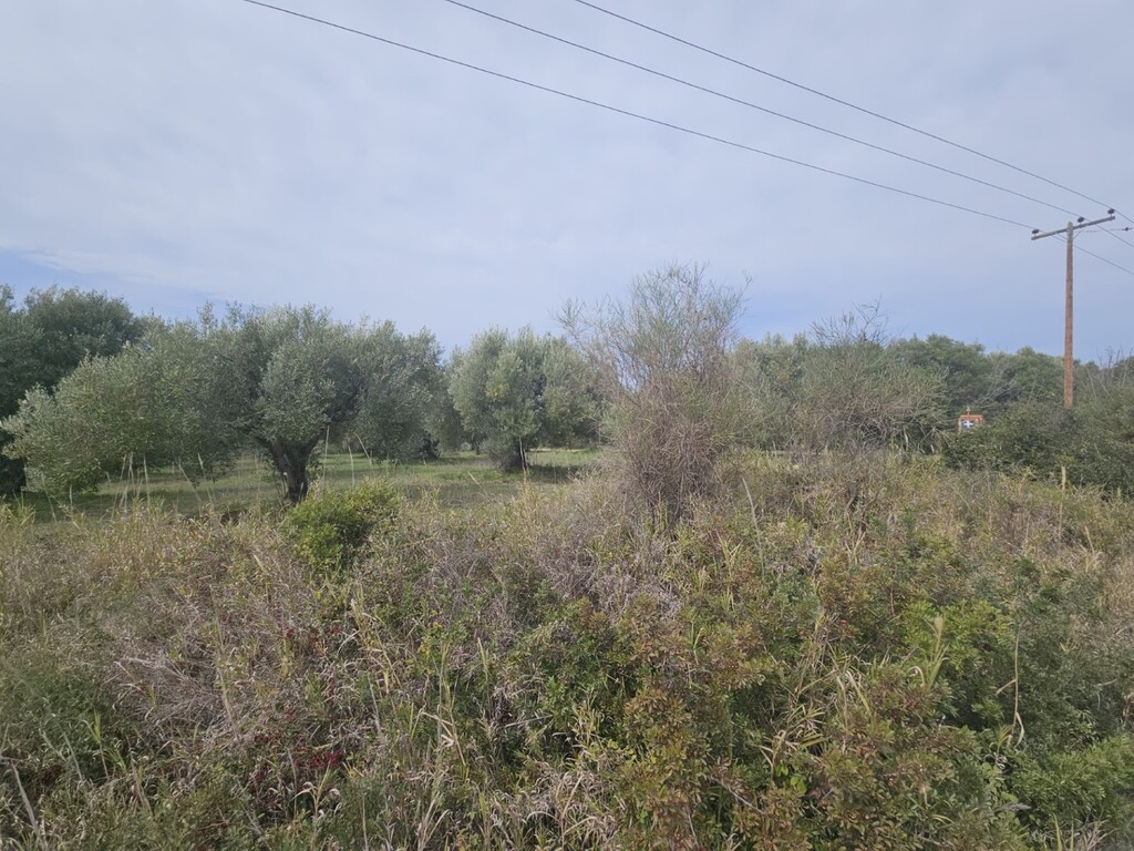 Land in Kassandra, Chalkidiki, Greece – 62617