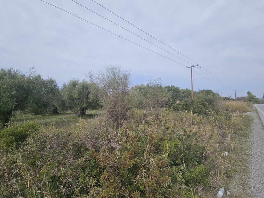 Land in Kassandra, Chalkidiki, Greece – 62617