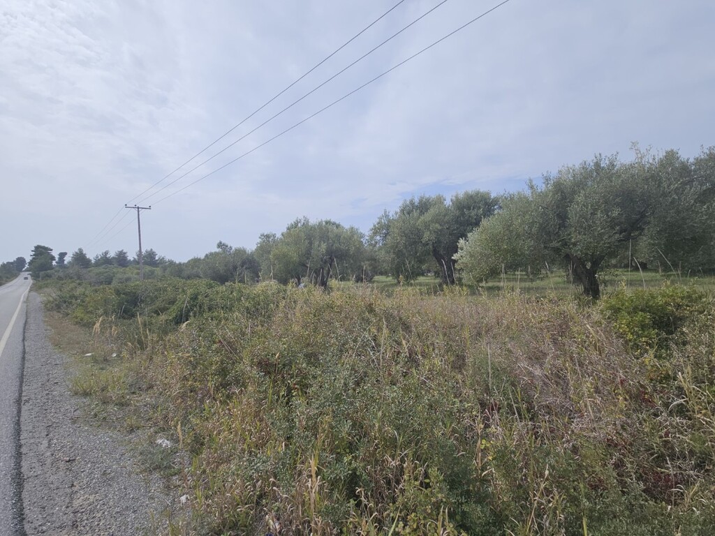 Land in Kassandra, Chalkidiki, Greece – 62617