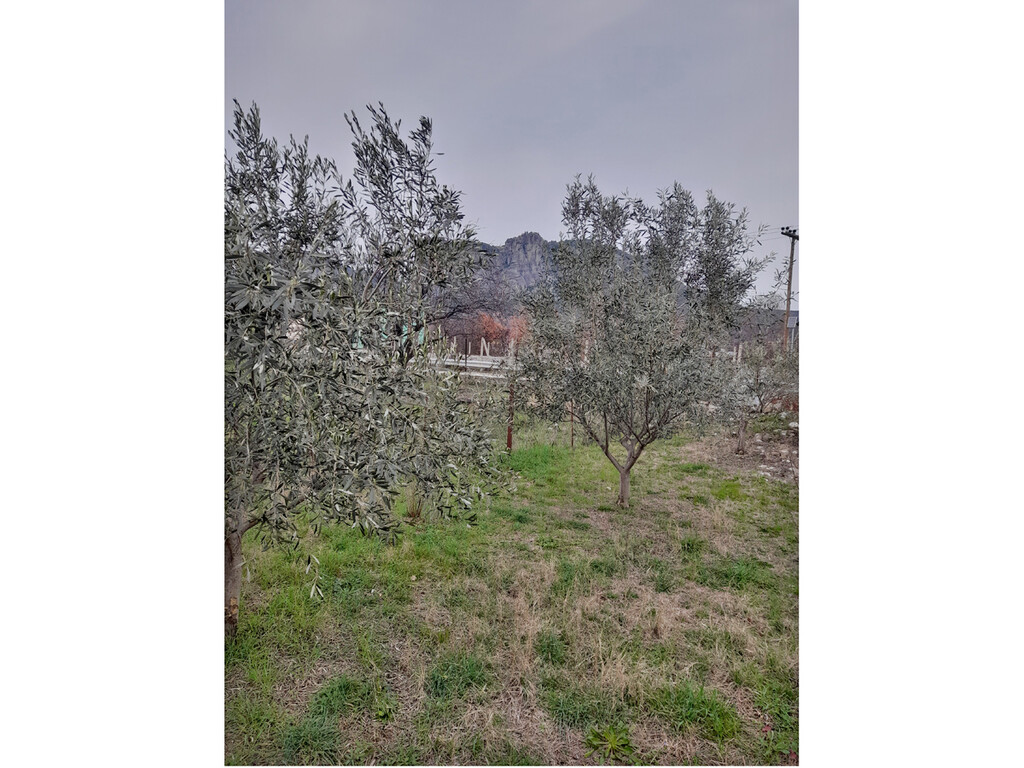Land in Kalampaka, Trikala Prefecture, Greece – 62512