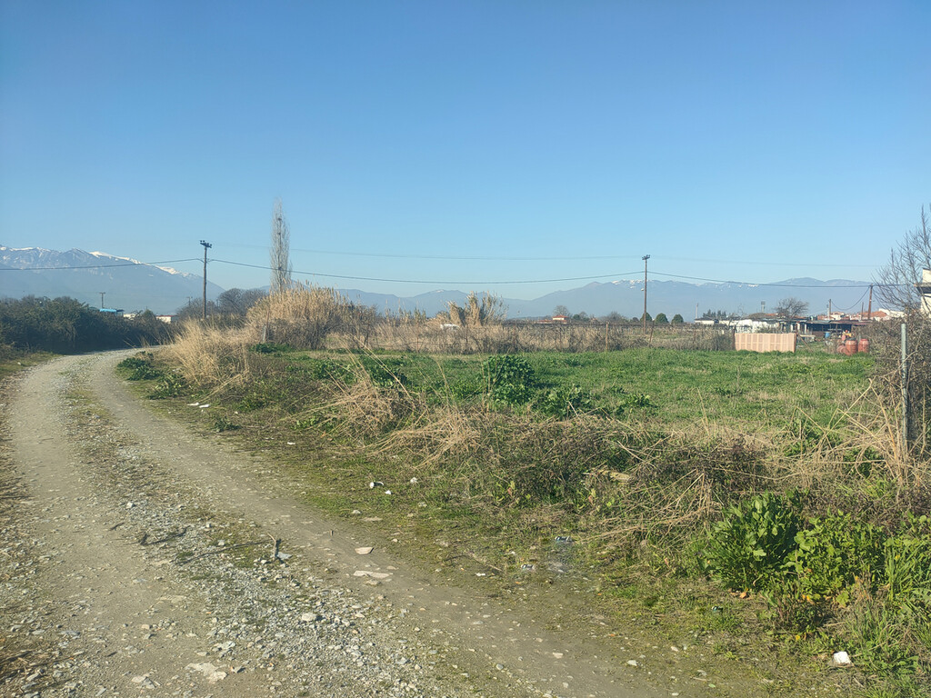 Land in Katerini, Pieria Prefecture, Greece – 62490