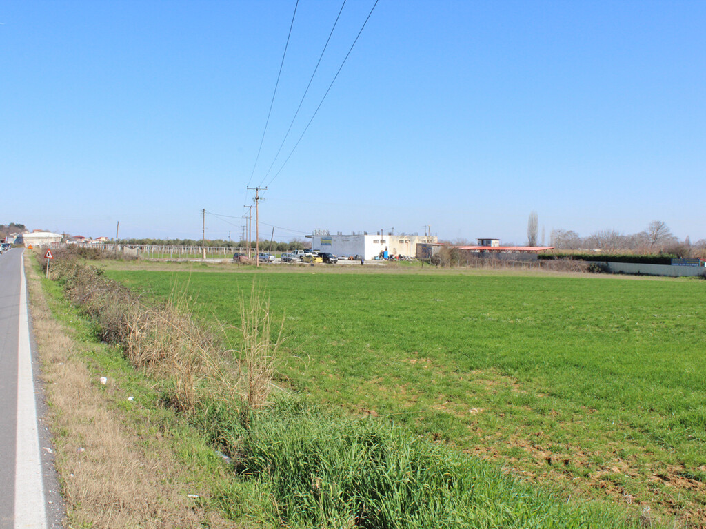 Land in Katerini, Pieria Prefecture, Greece – 62484