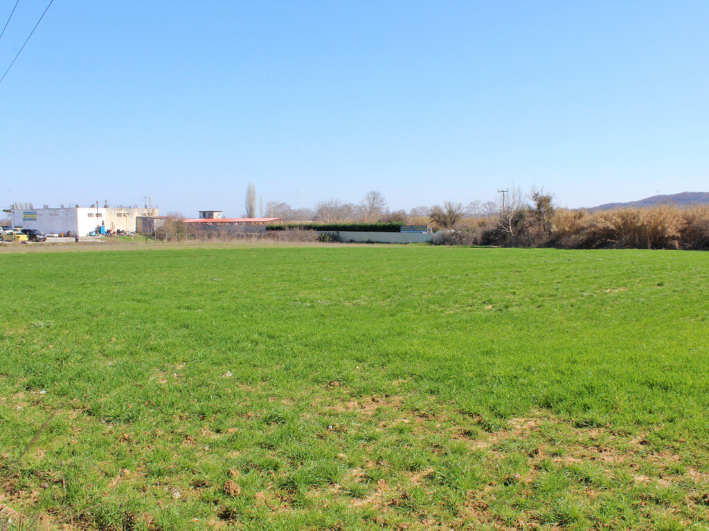 Land in Katerini, Pieria Prefecture, Greece – 62484