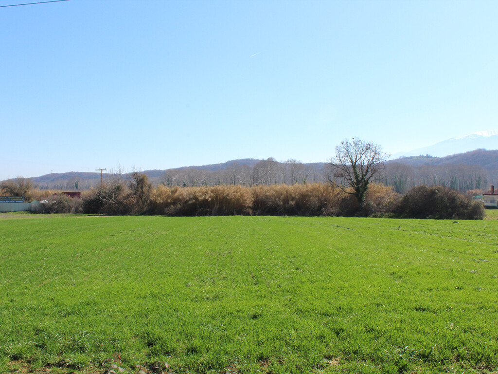 Land in Katerini, Pieria Prefecture, Greece – 62483