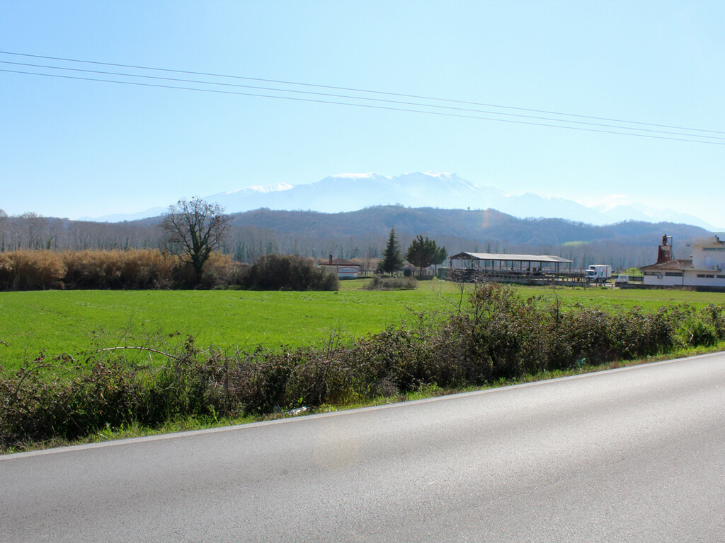 Land in Katerini, Pieria Prefecture, Greece – 62483