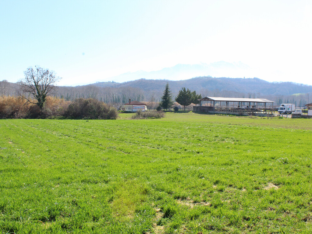 Land in Katerini, Pieria Prefecture, Greece – 62483