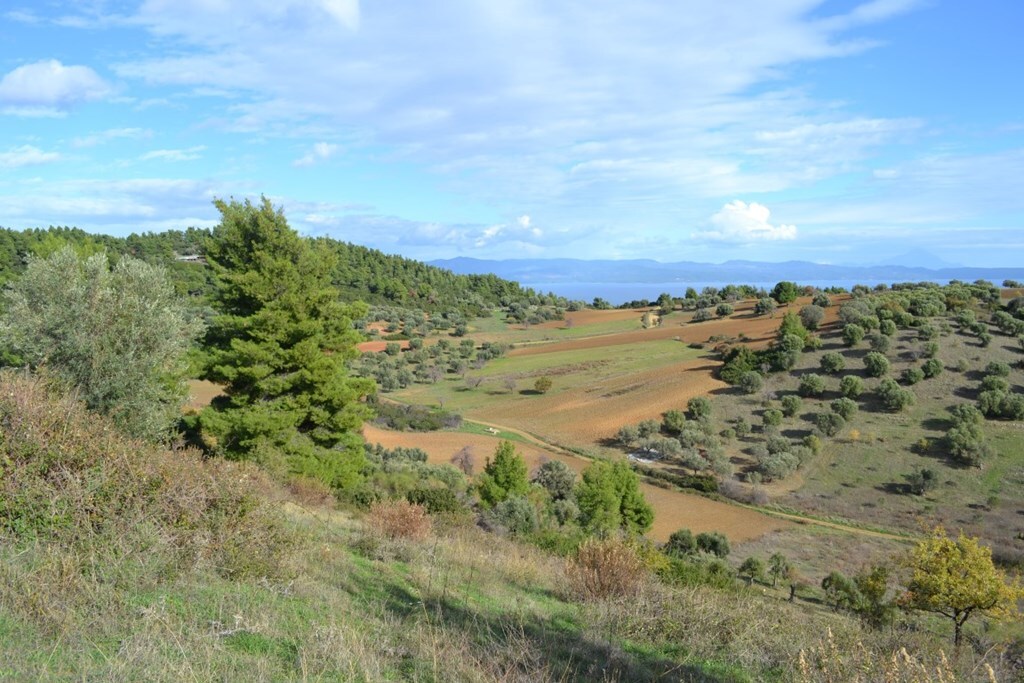 Land in Kassandra, Chalkidiki, Greece – 62479