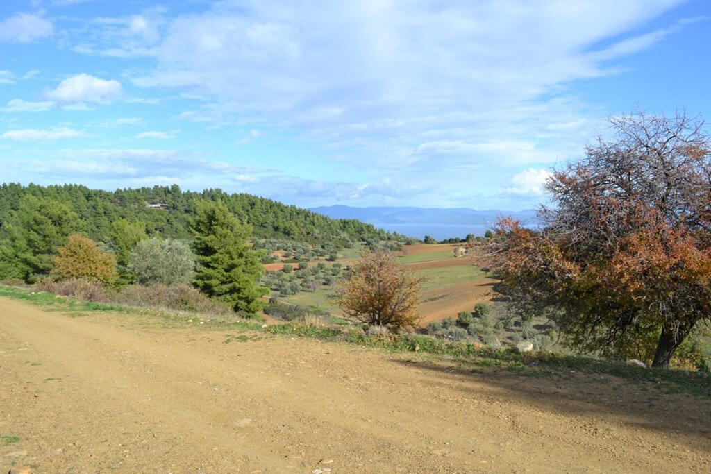 Land in Kassandra, Chalkidiki, Greece – 62479