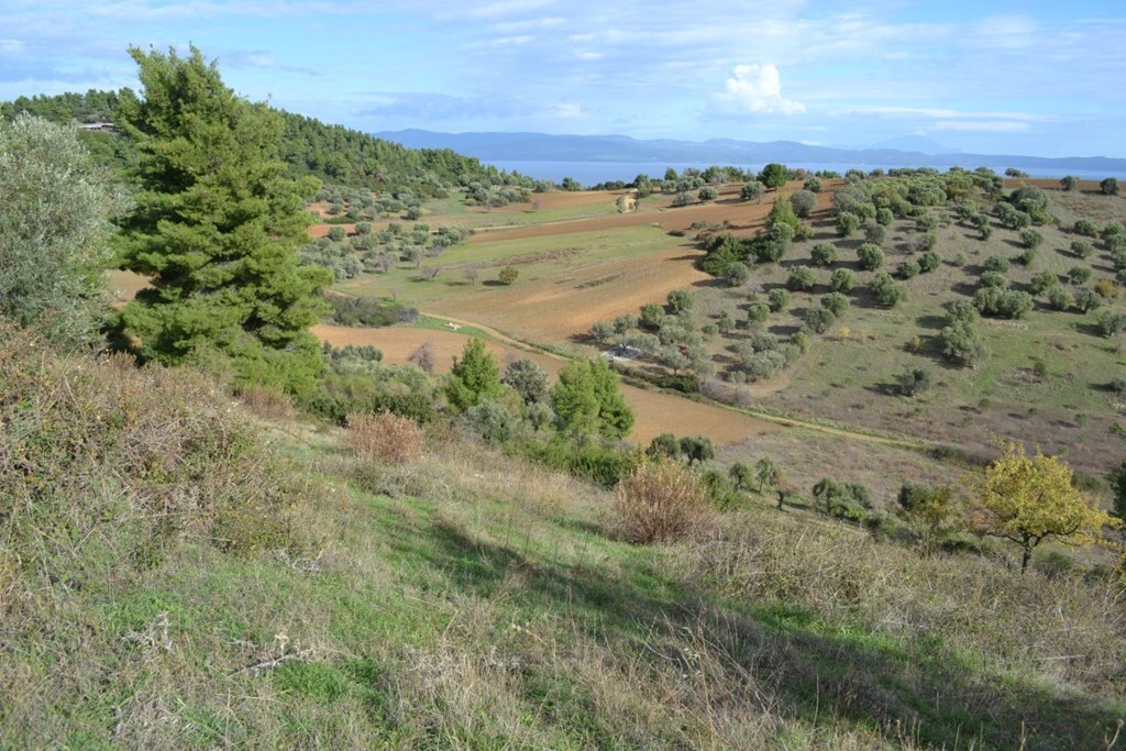 Land in Kassandra, Chalkidiki, Greece – 62479