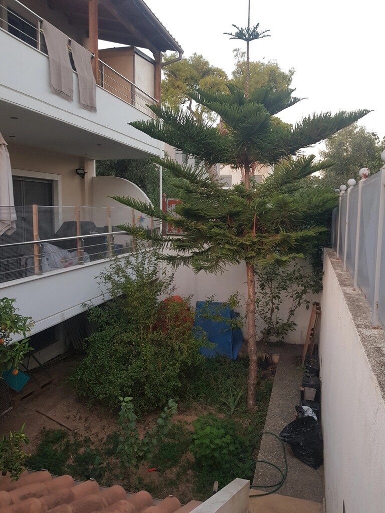 4 bedroom Detached house in Kifissia, Athens – North, Greece – 62318