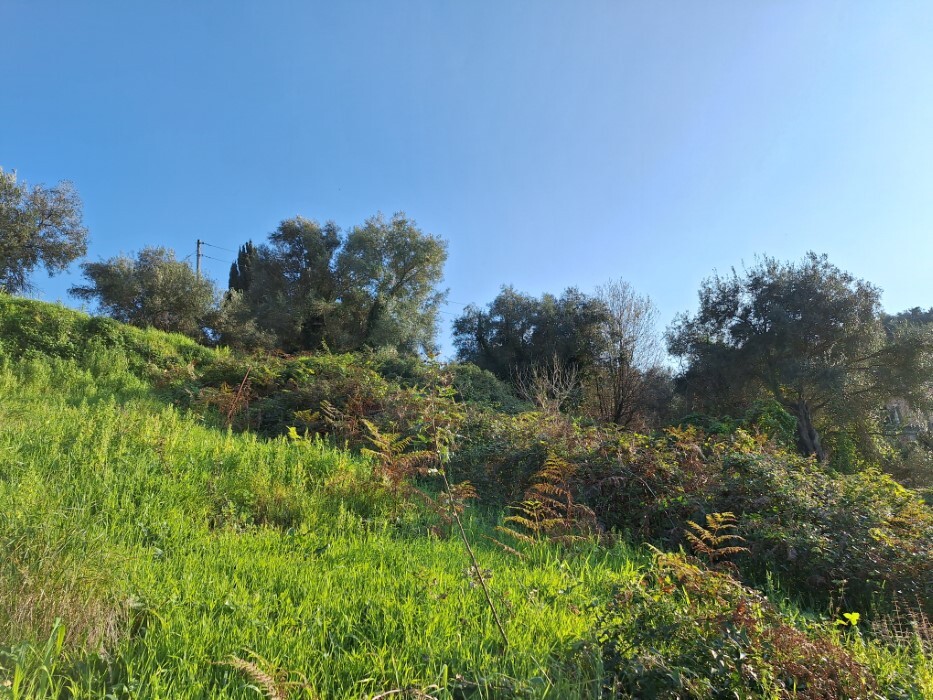 Land in Corfu, Corfu Prefecture, Greece – 62298