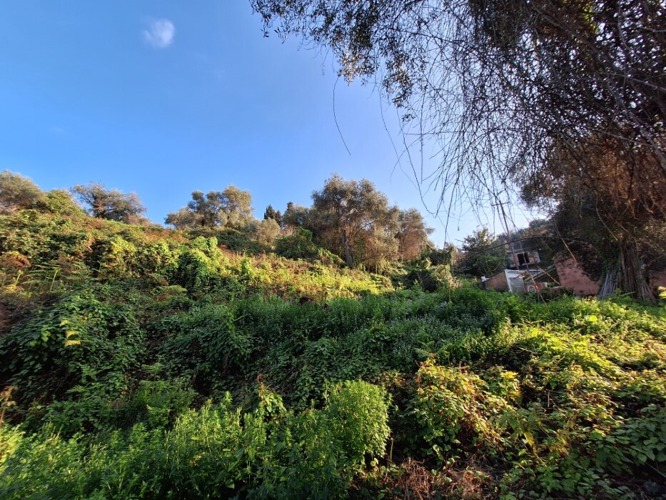 Land in Corfu, Corfu Prefecture, Greece – 62298