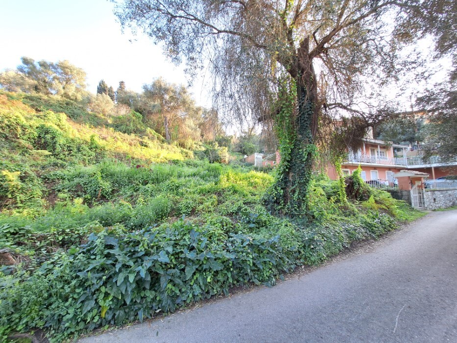 Land in Corfu, Corfu Prefecture, Greece – 62298